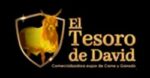 el-tesoro-de-david